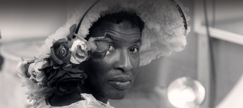 Photo of The Real Black Swann